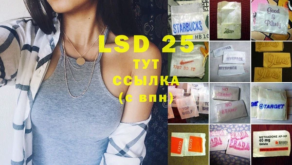 стафф Алексин