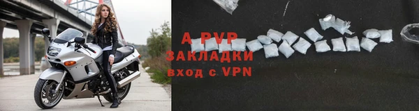 стафф Алексин