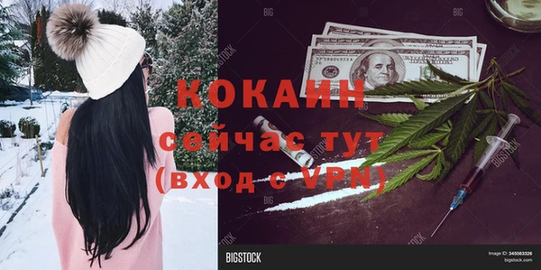 стафф Алексин