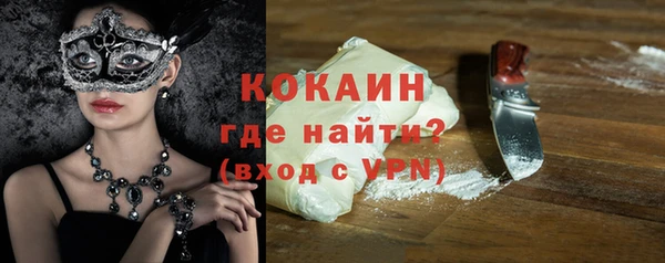 стафф Алексин