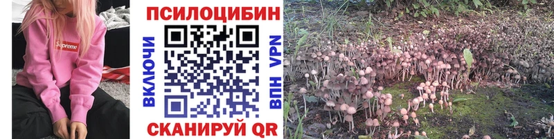 Галлюциногенные грибы Psilocybe  Липки 